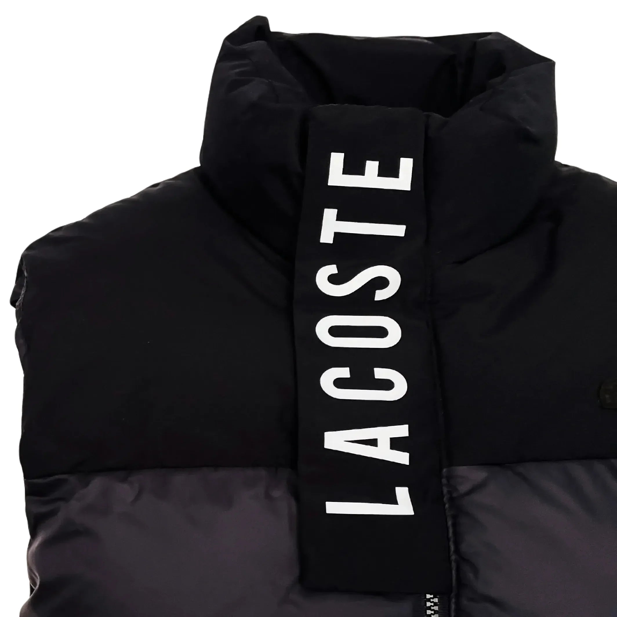 Lacoste Men Body Warmer Vest In Navy